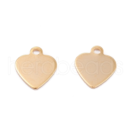 201 Stainless Steel Charms STAS-B001-07A-G-1