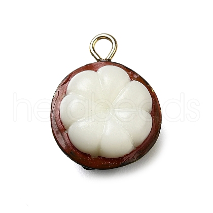 Brass Acrylic Pendants OACR-R006-01G-08-1
