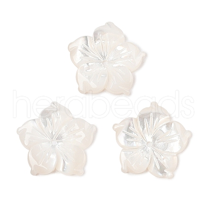 Natural White Shell Carved Beads SSHEL-I026-12E-06-1