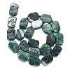 Natural Dioptase Beads Strands G-K245-J09-01-2