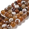 Faceted Natural Fire Crackle Agate Beads Strands G-F447-12mm-N10-2