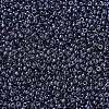 MIYUKI Round Rocailles Beads SEED-G007-RR0171-3