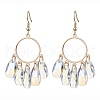 304 Stainless Steel Dangle Earrings EJEW-JE05874-1