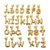26Pcs Brass Micro Pave Cubic Zirconia Pendants KK-R218-12G-1