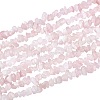 ARRICRAFT Natural Rose Quartz Chip Beads Strands G-AR0002-78-1