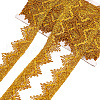 Polyester Braided Lace Ribbon SENE-WH0003-35C-1