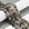 Natural Labradorite Beads Strands G-P332-23-6
