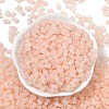 Transparent Colours Glass Seed Beads SEED-R001-01B-3