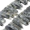 Natural Labradorite Beads Strands G-L551B-06-1