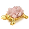 Alloy Tortoise Ornament G-F776-03G-05-1