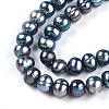 Natural Cultured Freshwater Pearl Beads Strands PEAR-N013-05C-01-4