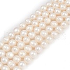Natural Cultured Freshwater Pearl Beads Strands PEAR-I007-07Z-03C-02-2