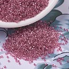 MIYUKI Delica Beads SEED-J020-DB0902-1