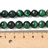 Natural Tiger Eye Beads Strands G-F591-18-8mm-04-5