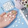 Beebeecraft 4 Strands Natural Freshwater Shell Beads Strands SHEL-BBC0001-15-3