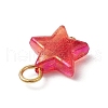 Transparent Acrylic Pendants PALLOY-JF03549-5