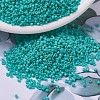 MIYUKI Delica Beads SEED-X0054-DB0729-1