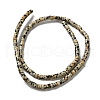 Natural Dalmatian Jasper Beads Strands G-E612-A01-B-2