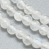 Natural Rainbow Moonstone Beads Strands G-A177-04-23-3