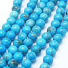 Natural Howlite Beads G-G904-8mm-01-2