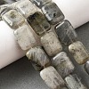 Natural Labradorite Beads Strands G-S386-A03-1