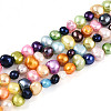 Natural Cultured Freshwater Pearl Beads Strands PEAR-N014-04J-2