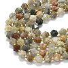 Natural Lodolite Quartz Beads Strands G-I376-A71-01-3