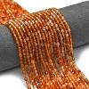 Natural Carnelian Beads Strands G-A260-A20-01-1