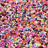 Baking Paint Glass Seed Beads SEED-S042-05B-48-3