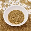 MIYUKI Delica Beads SEED-X0054-DB2525-2