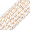 Natural Cultured Freshwater Pearl Beads Strands PEAR-I007-01D-04A-2