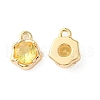 Brass Micro Pave Cubic Zirconia Charms KK-L208-10G-04-1