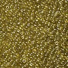 Glass Seed Beads SEED-A006-4mm-110-2
