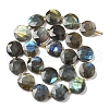 Natural Labradorite Beads Strands G-C116-A164-03-3