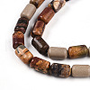 Natural Picasso Jasper/Polychrome Jasper Beads Strands G-N346-01B-05-4