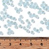 8/0 Glass Seed Beads SEED-Z001-C-E03-4