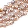 Natural Cultured Freshwater Pearl Beads Strands PEAR-A006-19A-2