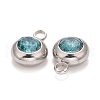 304 Stainless Steel Charms STAS-G133-13I-3