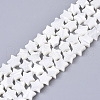 Natural Trochid Shell/Trochus Shell Bead Strands X-SSHEL-N034-68A-1