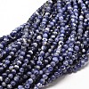 Natural Sodalite Round Bead Strands X-G-P072-27-4mm-1