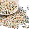 Baking Paint Glass Seed Beads SEED-F006-01A-11-1