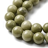 Natural Alashan Agate Beads Strands G-E598-03-3