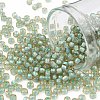 TOHO Round Seed Beads SEED-JPTR08-0952-1
