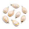 Electroplate Cowrie Shell Pendants X-SSHEL-S261-11-4