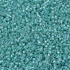 MIYUKI Delica Beads SEED-X0054-DB0079-3