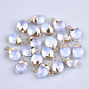 Electroplate Opalite Charms G-S344-09G-1