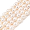 Natural Cultured Freshwater Pearl Beads Strands PEAR-I007-01F-06A-2