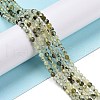 Natural Prehnite Beads Strands G-C009-A20-2