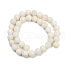 Natural White Shell Beads Strands BSHE-U002-01-3