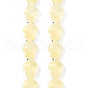 Transparent Glass Enamel Beads Strands GLAA-B021-06C-1